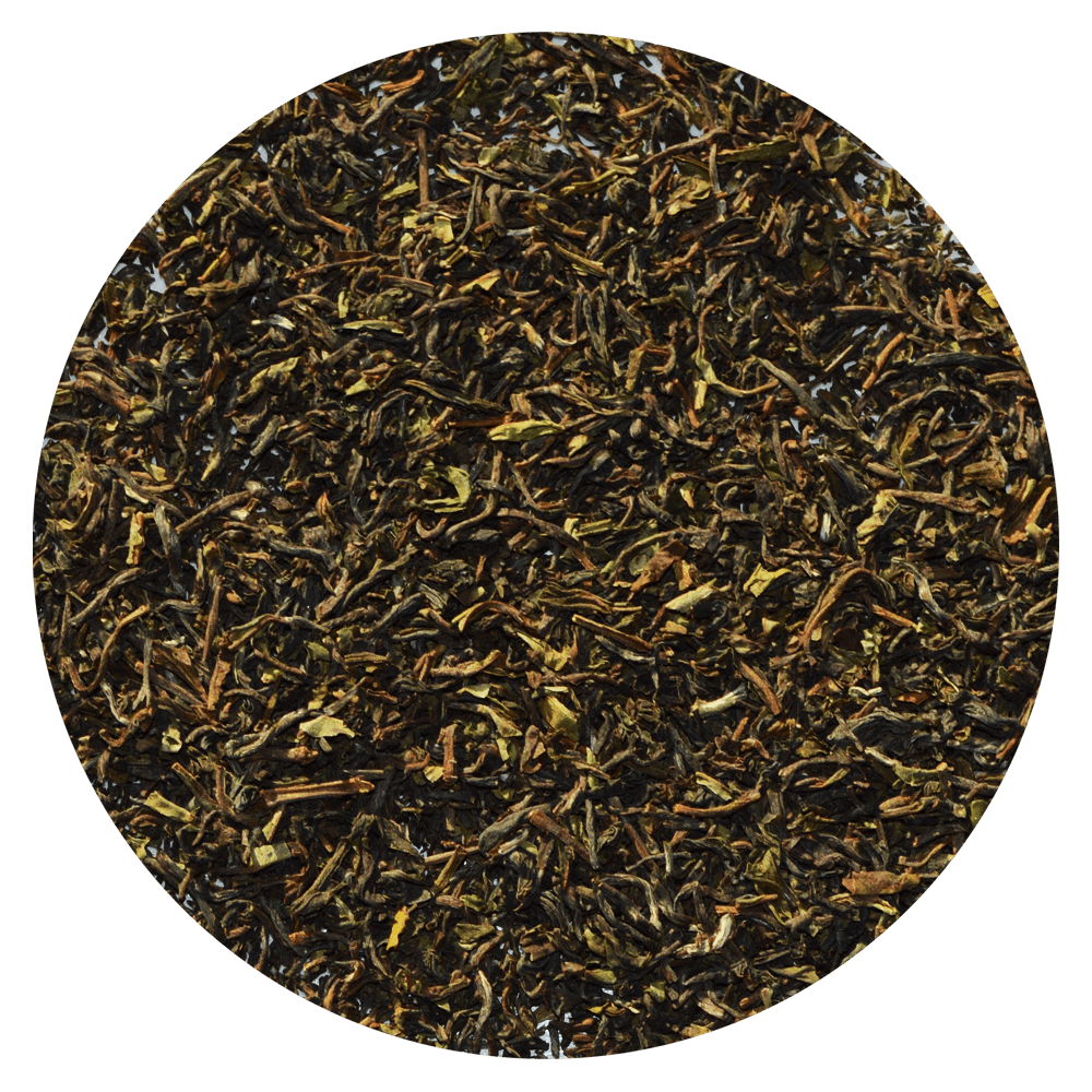 Premium First Flush Darjeeling Tee aus der ersten Ernte, nur leicht oxidiert deswegen besonders grün