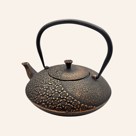 Eisenkanne Black Flower